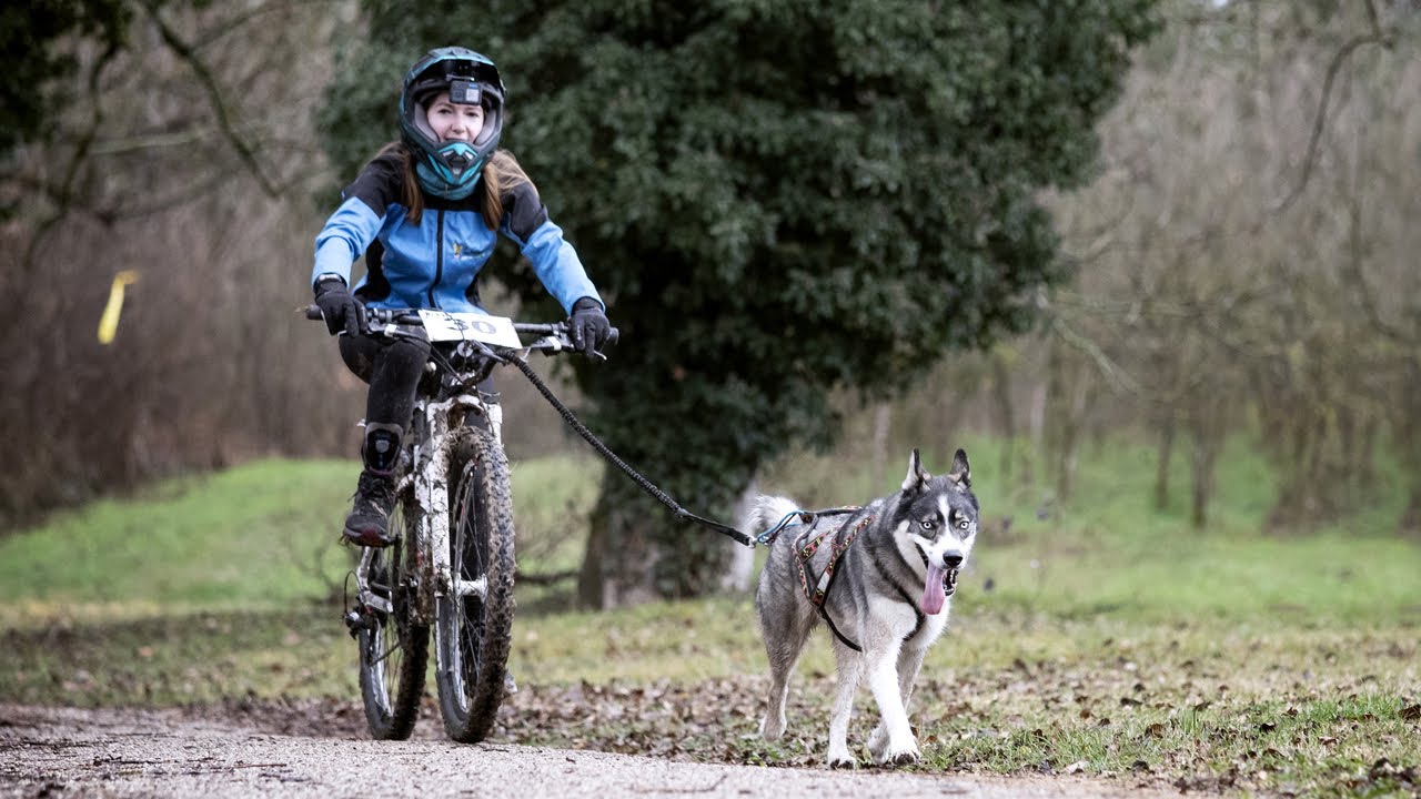 Cani-cross de Blyes 2023 - Parcours Cani-VTT