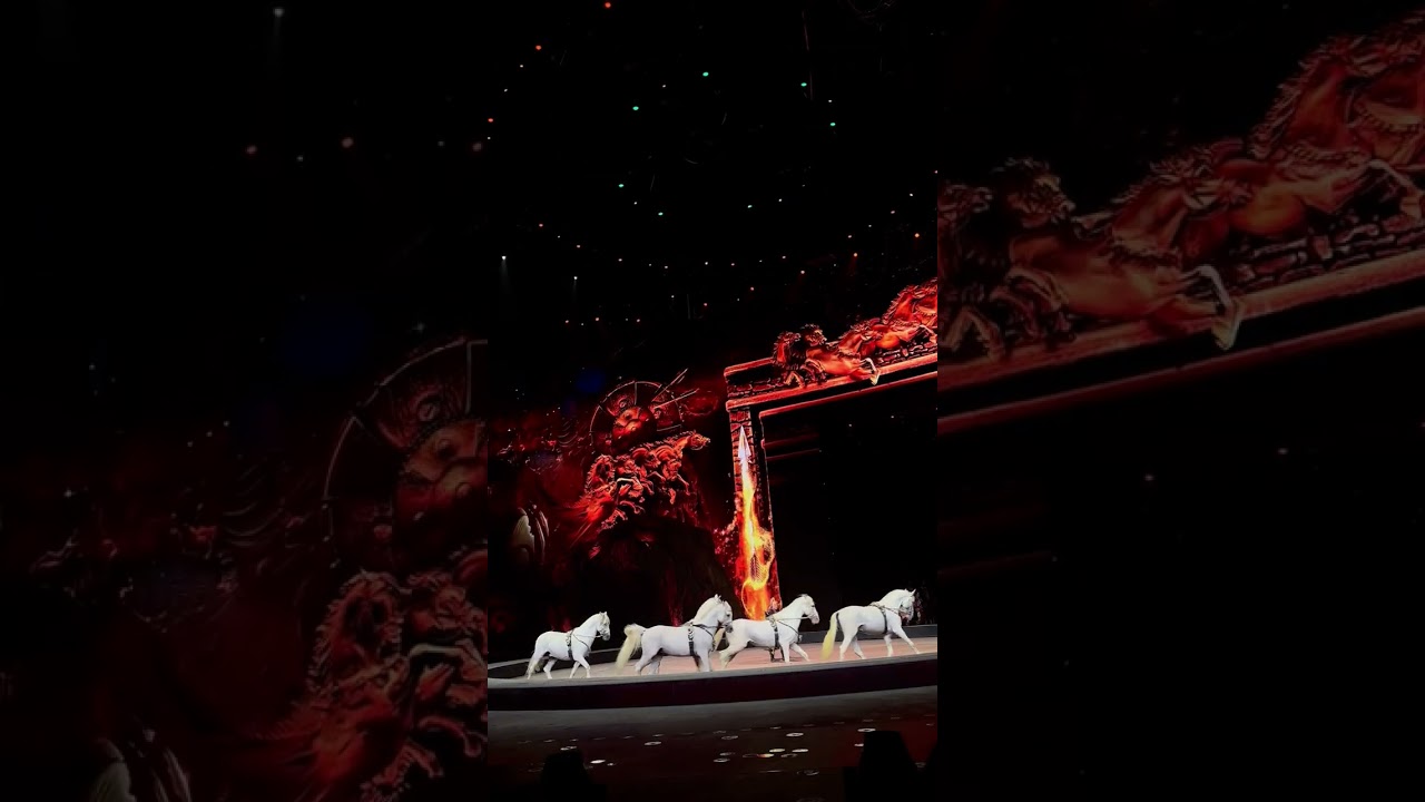 Chimelong circus Zhuhai hamgiin goy ogshih vzvvlber. Morin tsirk