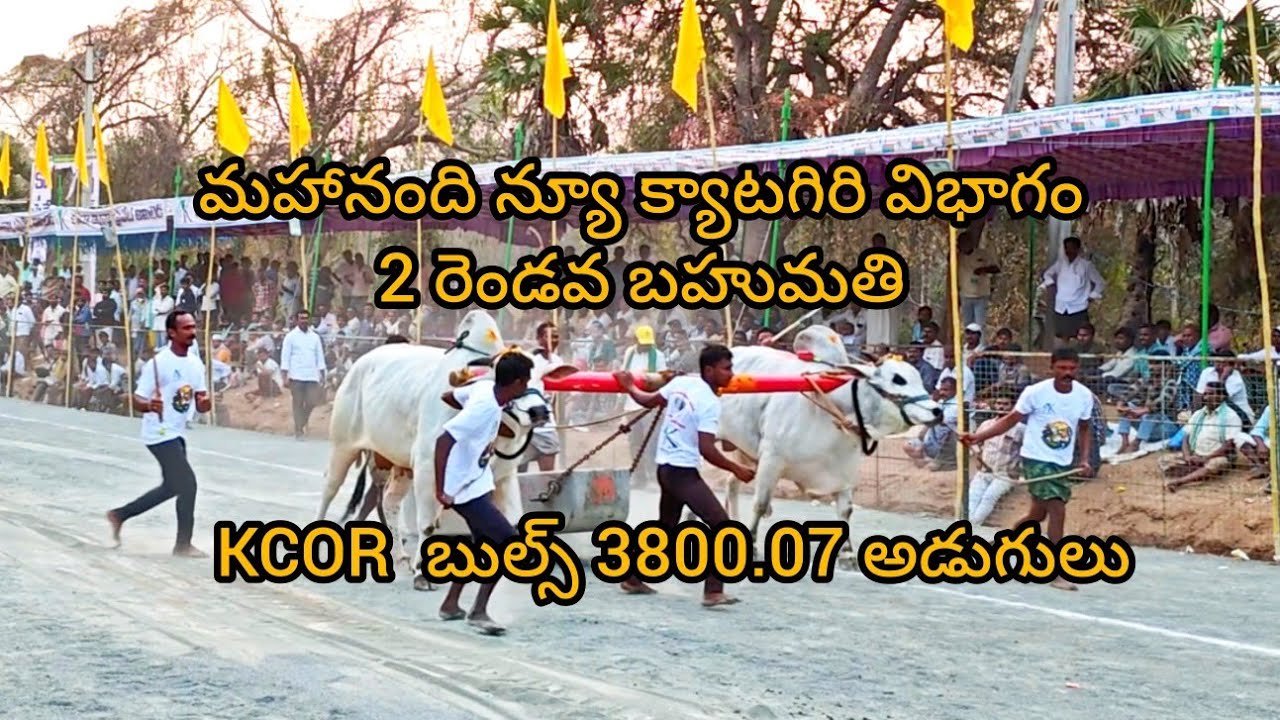 4k live మహానంది సీనియర్స్ రెండో బహుమతి KCOR బుల్స్ 