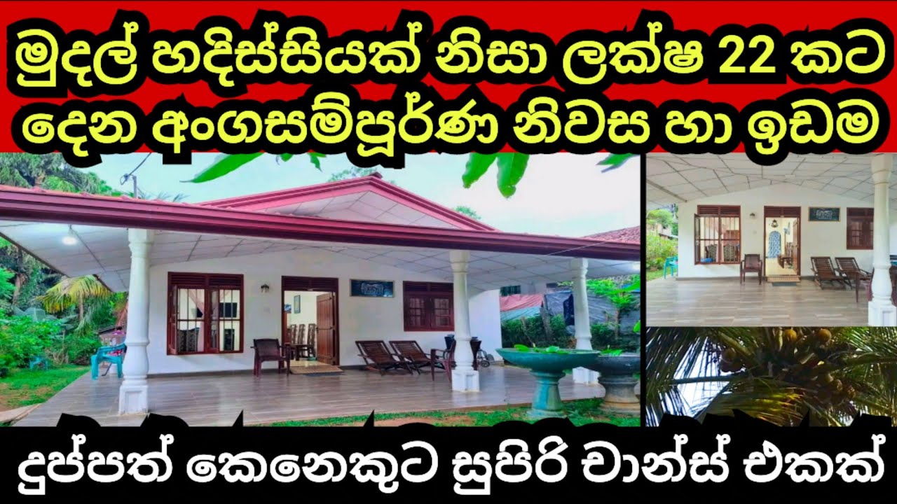 මුදල් හදිසියක් නිසා ලක්ෂ 22 කට විකුණන නිවස හා සින්නක්කර ඉඩම | House for sale | Aduwata idam | Lands