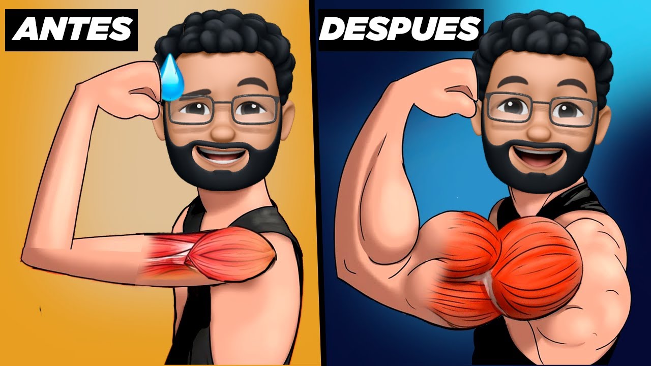 7 MEJORES EJERCICIOS DE HOMBRO que NO ESTAS HACIENDO - (INCORPORALOS A TU RUTINA)
