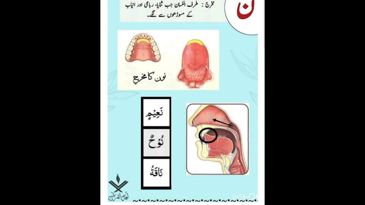 مخرج ل،ر،ن تفصیل کے ساتھ 