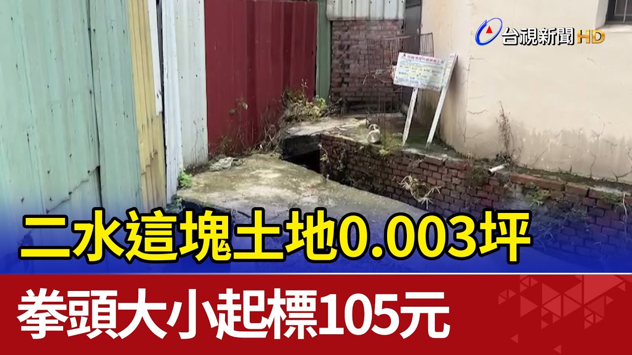 二水這塊土地0.003坪 拳頭大小起標105元