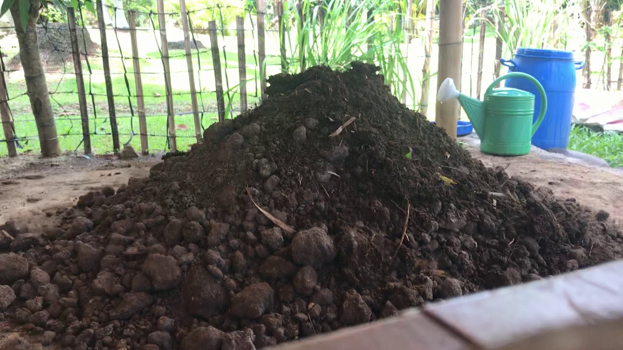 Paano pabulokin ang chicken manure. Part 1