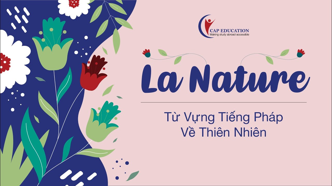 Từ Vựng Tiếng Pháp Về Thiên Nhiên | CAP FRANCE