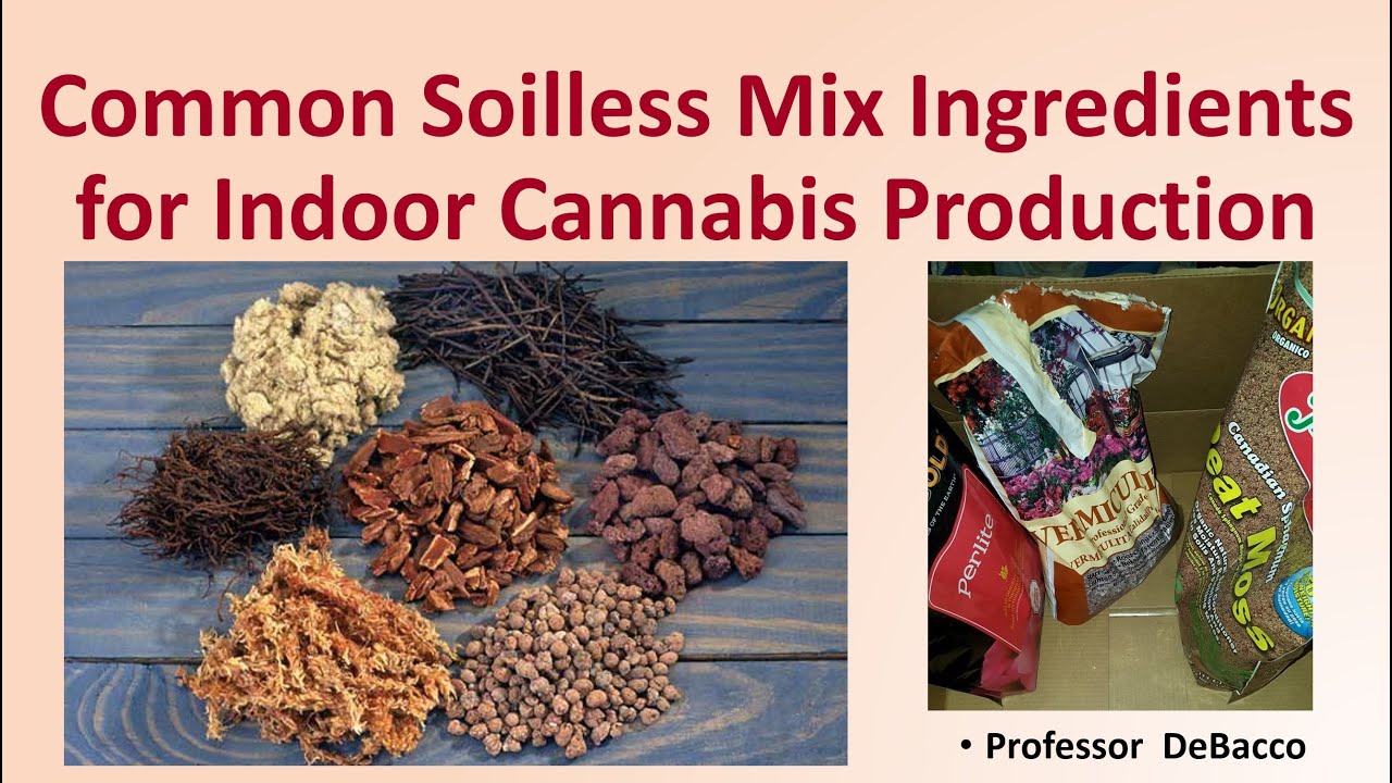 Common Soilless Mix Ingredients for Indoor Cannabis Production