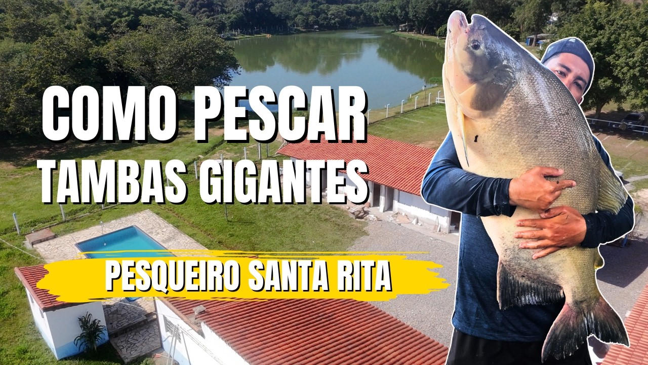 COMO PESCAR TAMBAS GIGANTES - PESQUEIRO SANTA RITA