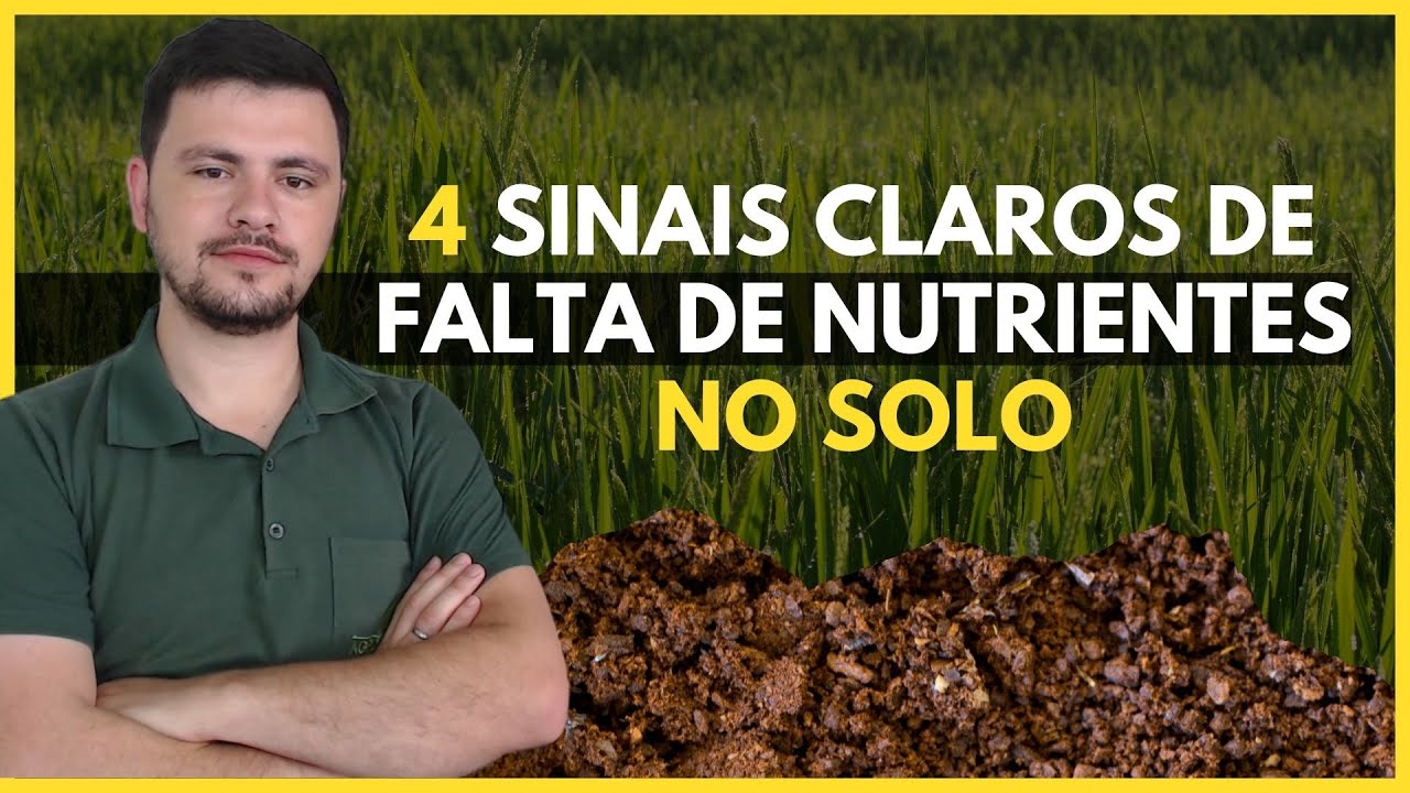 4 SINAIS CLAROS de falta de nutrientes no solo