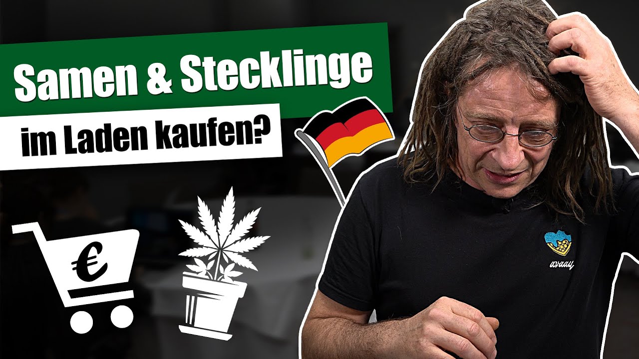 Samen & Stecklinge jetzt im Handel? - Fünf Irrtümer des Cannabisgesetzes (CanG)