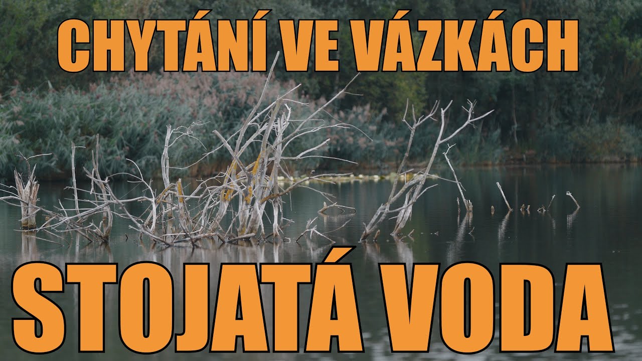 STOJATÁ VODA - CHYTÁNÍ VE VÁZKÁCH