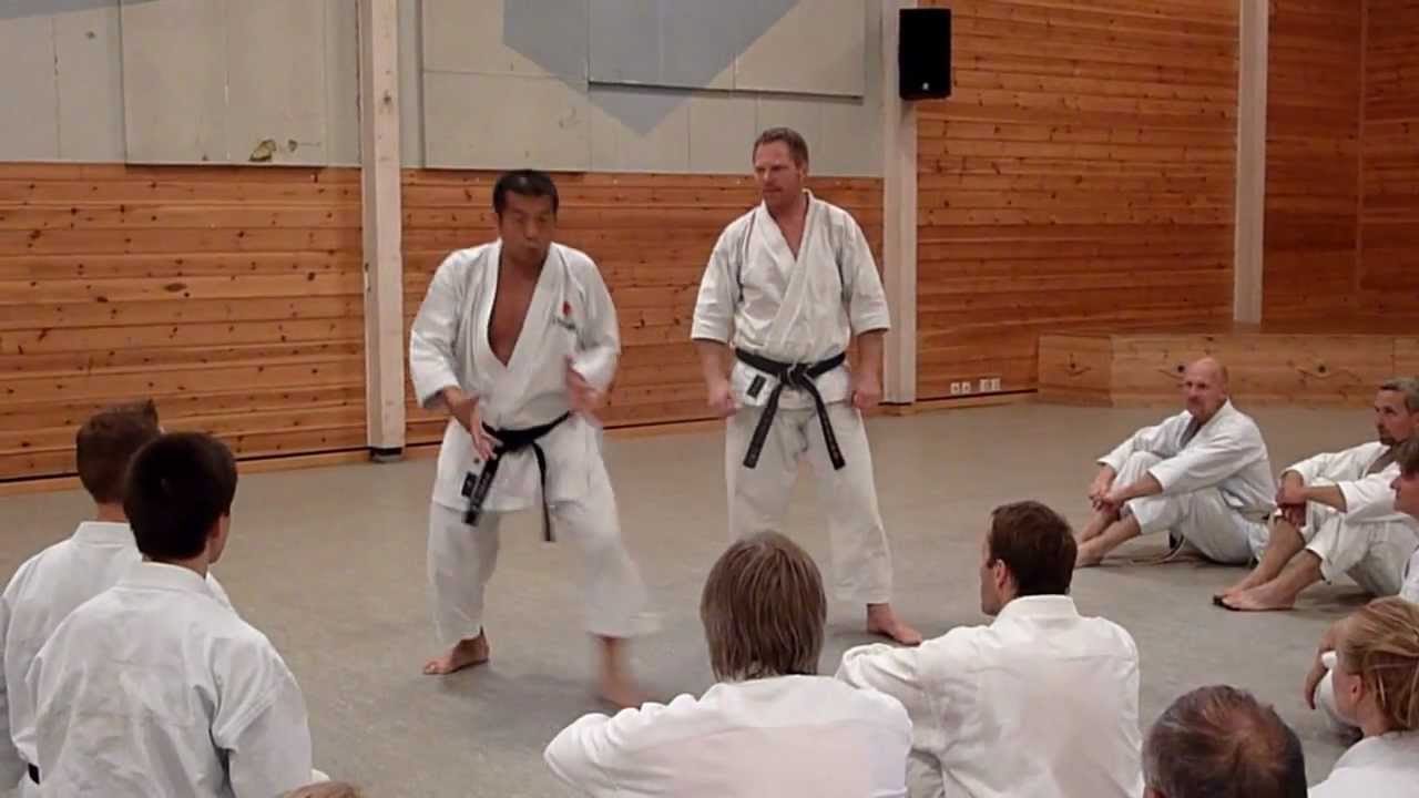 NTKF Sommerleir 2012 - Sensei Naito 7. dan