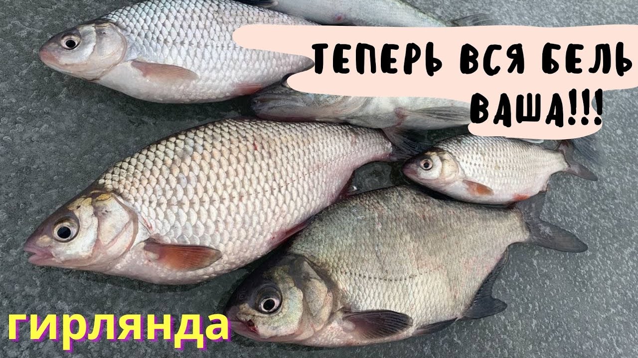 ГИРЛЯНДА. Как НАЛОВИТЬ МНОГО плотвы и леща со льда