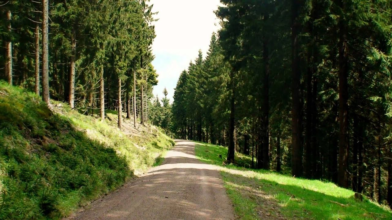 Wandern Thüringer Wald: Rennsteig bei Oberhof