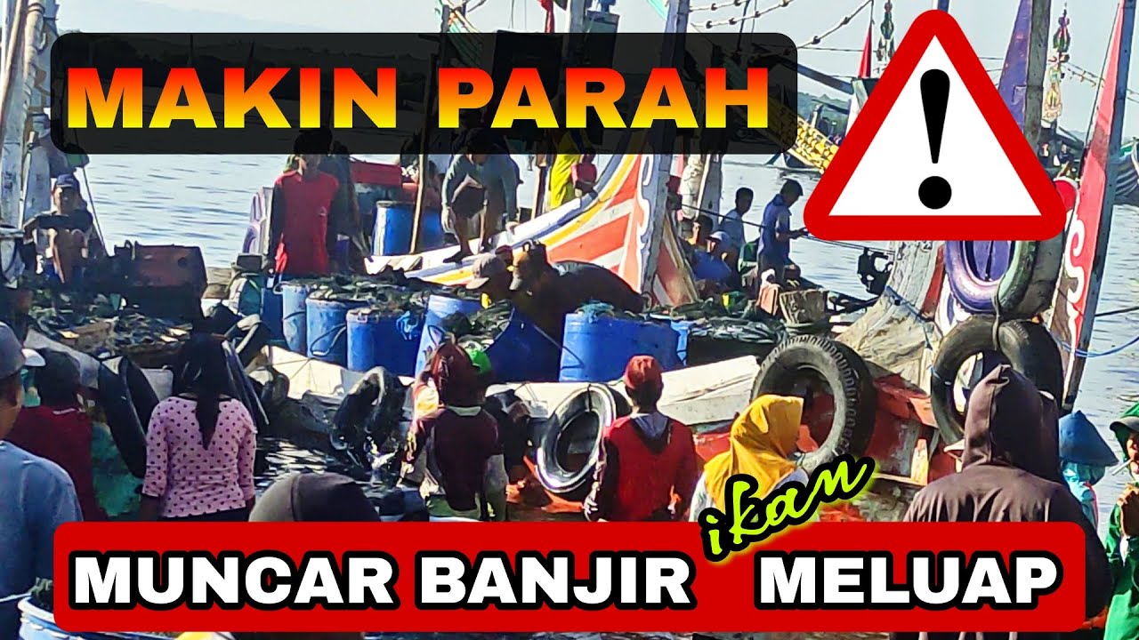 MAKIN PARAH ‼️ MUNCAR BANJIR ikan MELUAP | Nelayan Muncar | Nelayan Indonesia | vlog nelayan