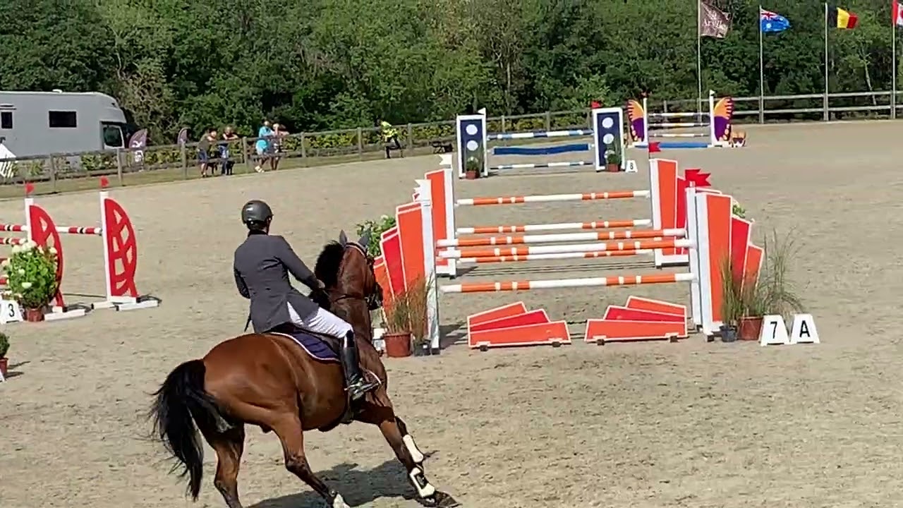 Aug 2022 Jumper vd meyhoeve sj 3*S Arville