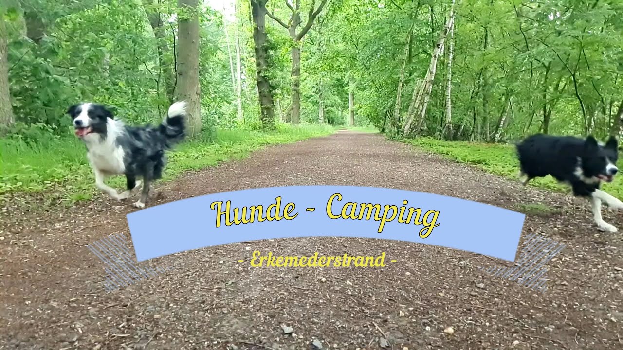 Erkemederstrand - Für Campinghunde