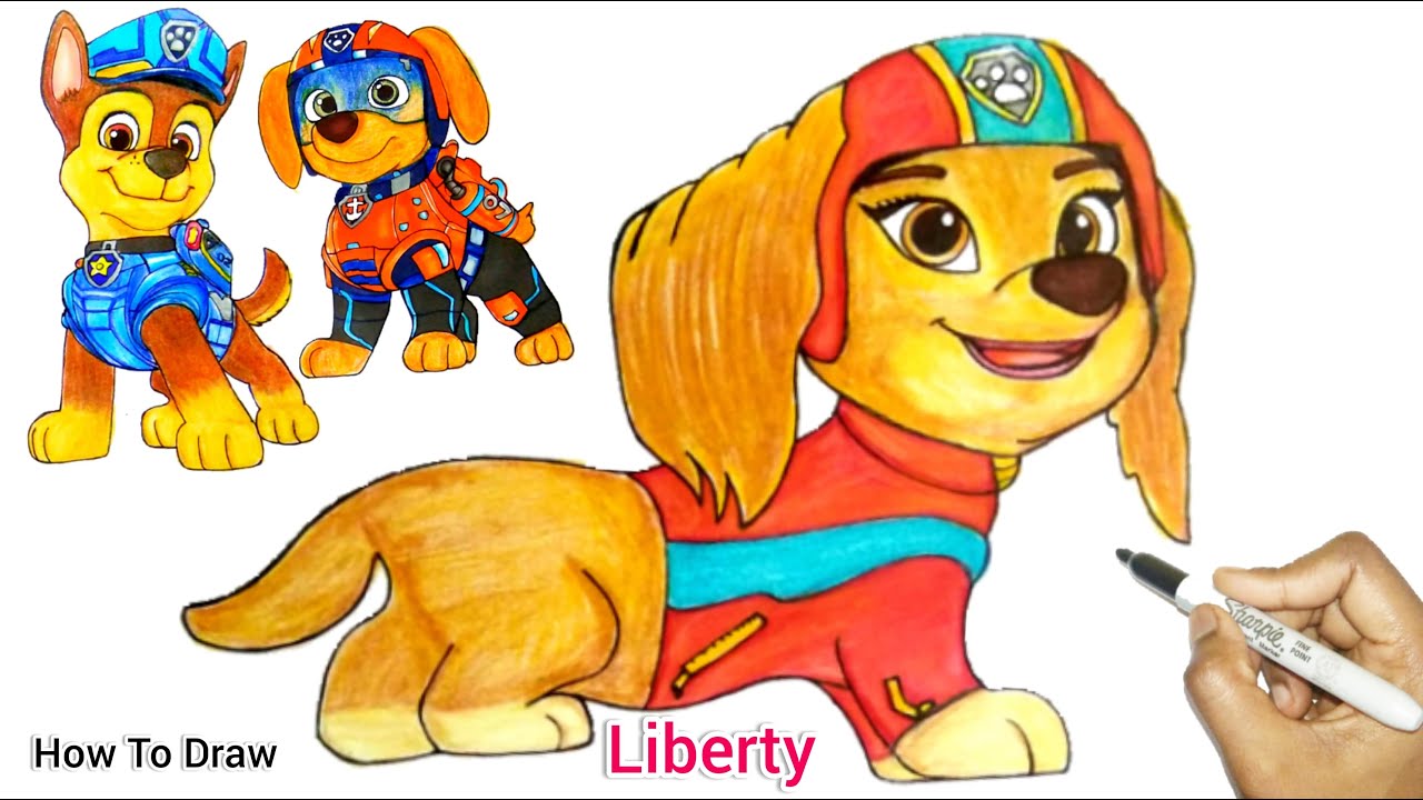Liberty into Paw Patrol Team| Liberty Becomes Member of Paw Patrol | How To Draw Liberty Paw Patrol