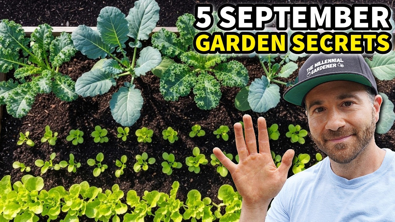 5 September Gardening Secrets for MASSIVE Harvests, EVERYWHERE!