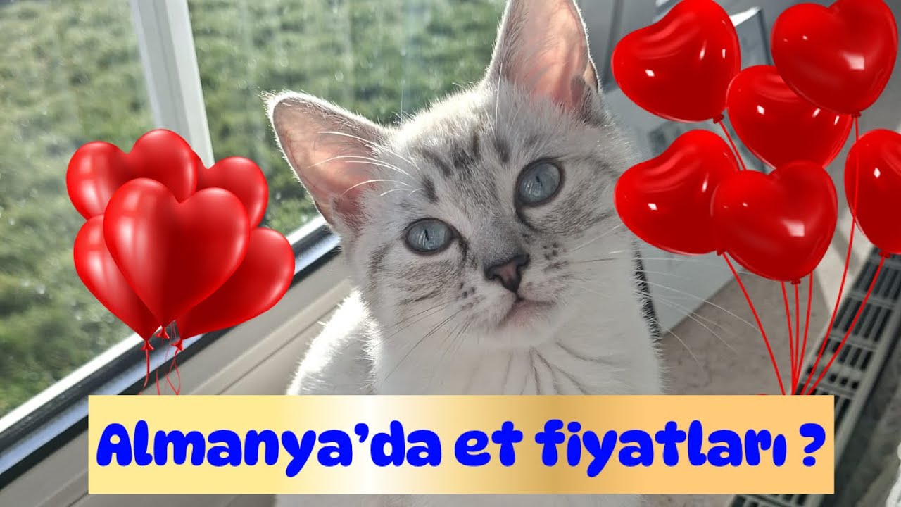 Almanya’da 170 Euro ya kaç kilo et alınır 🤔