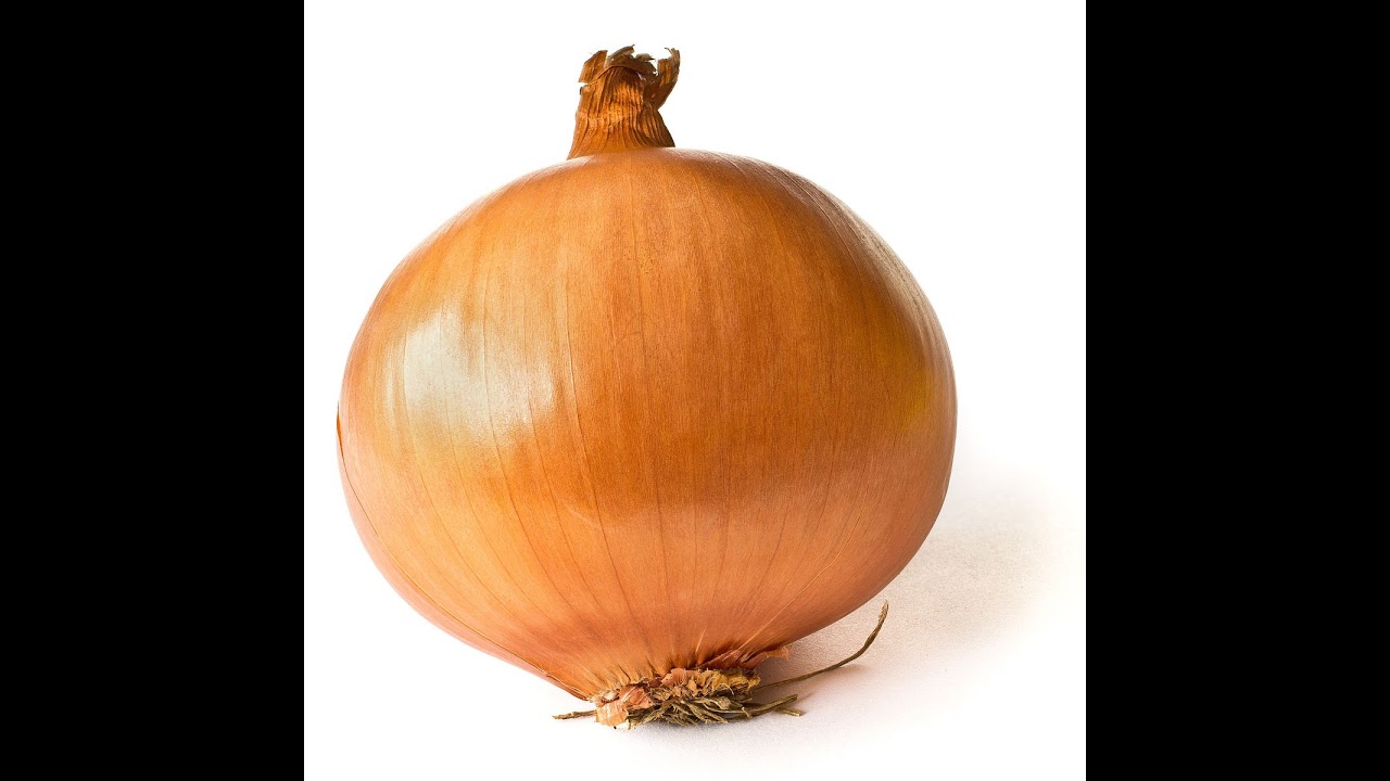 Mr.Onionz Live Stream