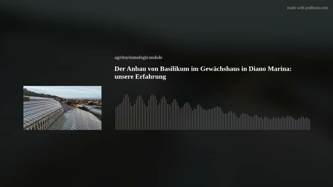 Der Anbau von Basilikum im Gewächshaus in Diano Marina: unsere Erfahrung