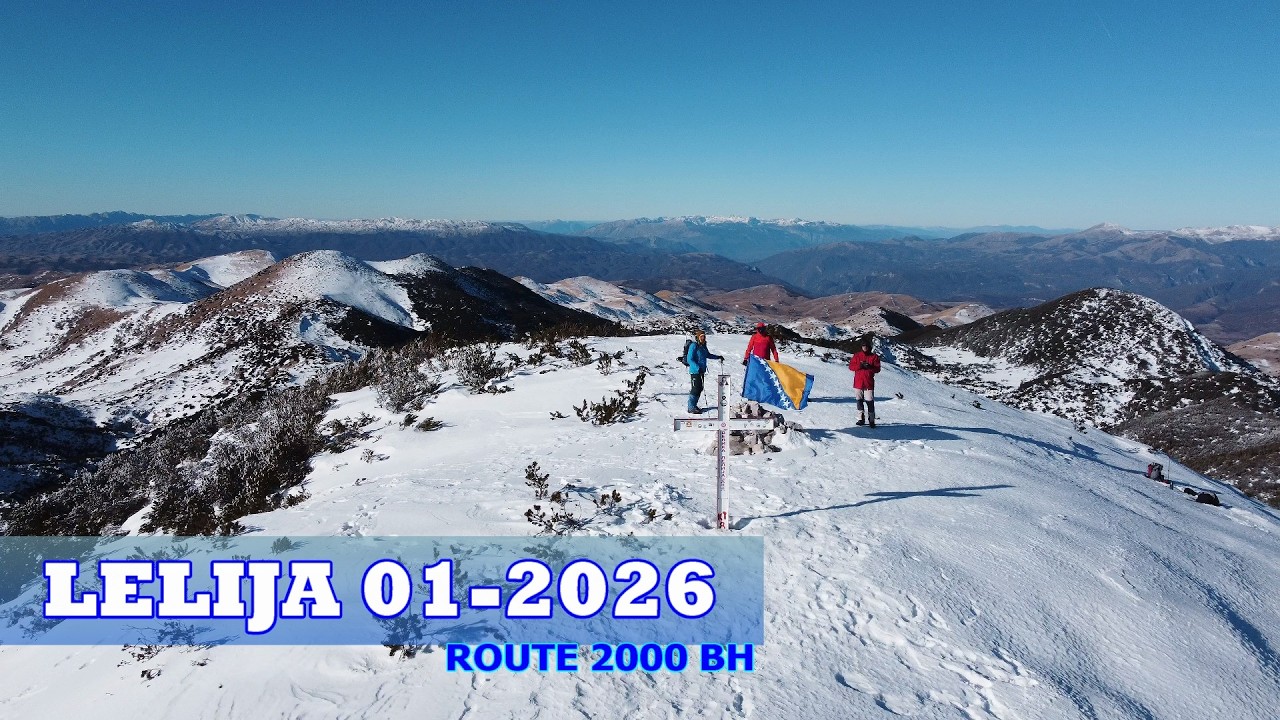 LELIJA 01-2026