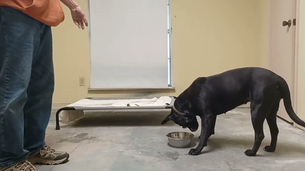Training Midnight