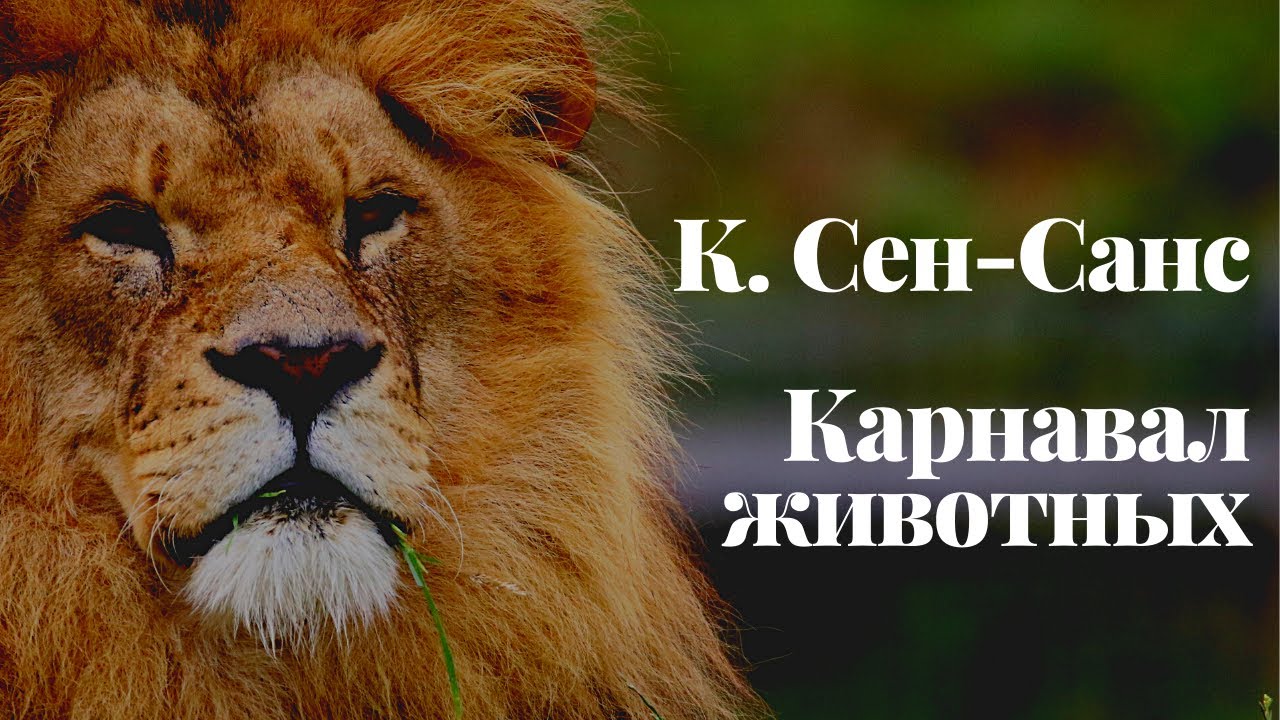 К. Сен-Санс 