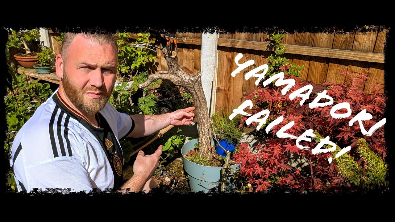 My First Yamadori Oak Dig – What Went Wrong & What I Learned (Bonsai Failure)