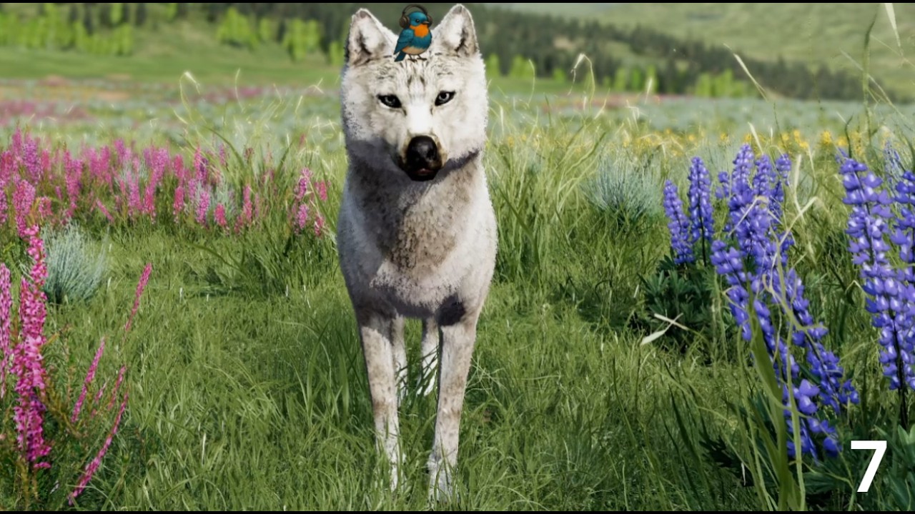 WolfQuest e7