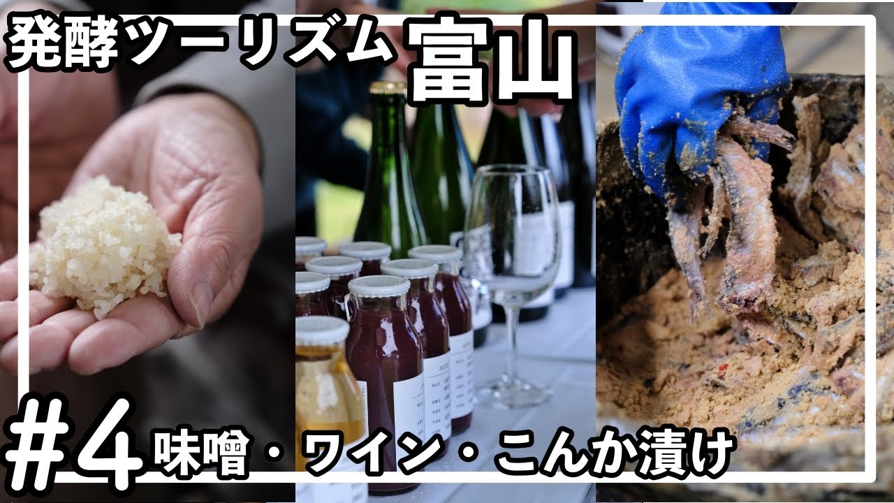 発酵ツーリズム北陸４｜富山！山元醸造/味噌、SaysFarm/ワイン、柿太水産/こんか漬け #発酵 #日本酒 #小倉ヒラク #味噌 #麹 #富山