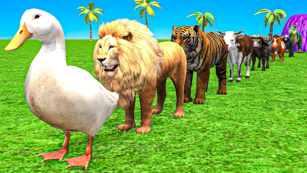 Ultra Long Slide Game with Cow Elephant Gorilla Hippopotamus Tiger 3d Animal Game Funny 3d Animals