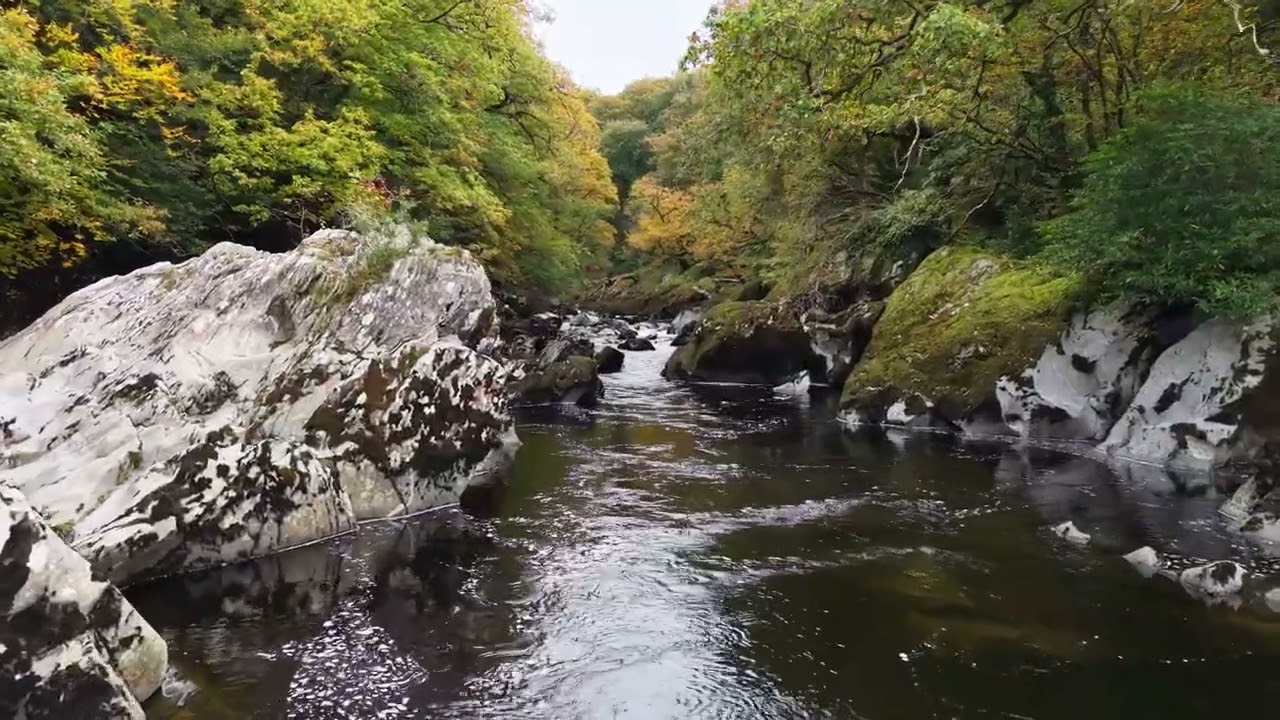 North Wales road trip, Betws y Coed Fairy Glen