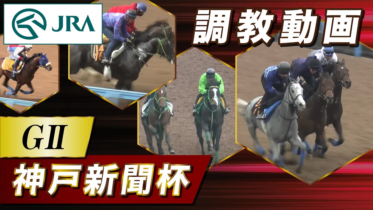 【調教動画】2026年 神戸新聞杯｜JRA公式