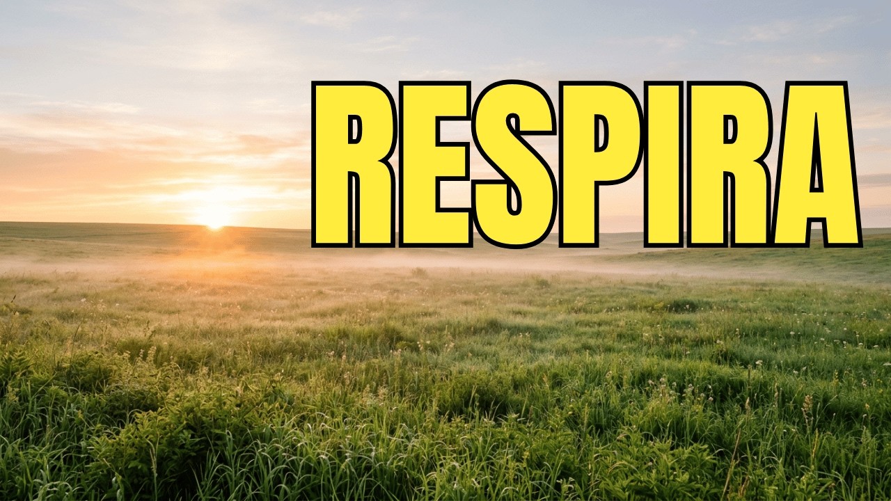 RESPIRA… DIO È CON TE OGGI | PREGHIERA DEL MATTINO PER LA PACE🙏