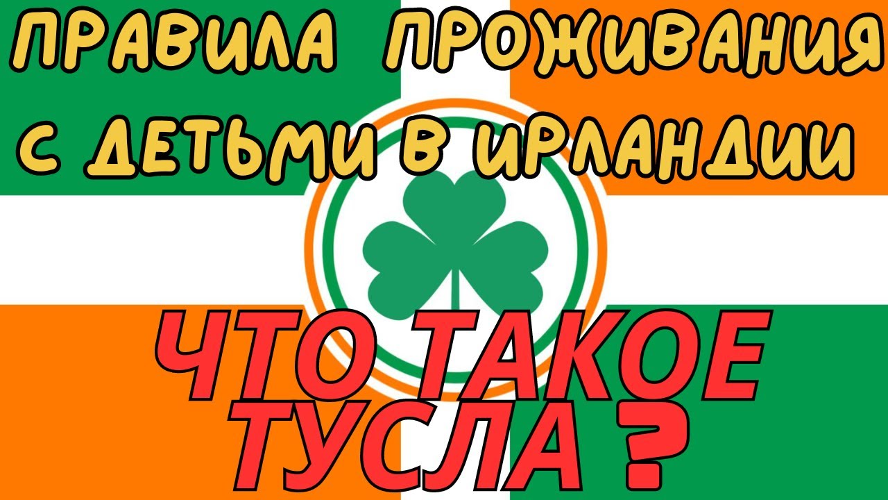 Важно в Ирландии Тусла забирает Детей , Правила проживания с детьми в Ирландии #новости #ирландия
