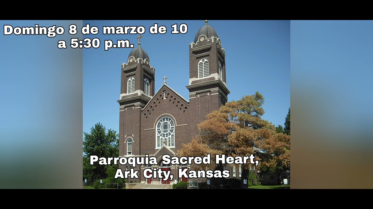 Discípulos Evangelizadores Misioneros. Siempre vivos. 