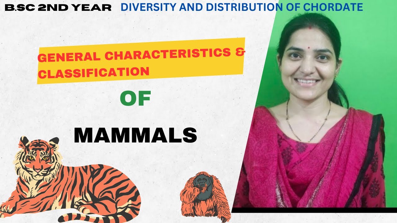 General Characteristics And Classifications of class Mammalia B.Sc 2nd Year||#mammalia