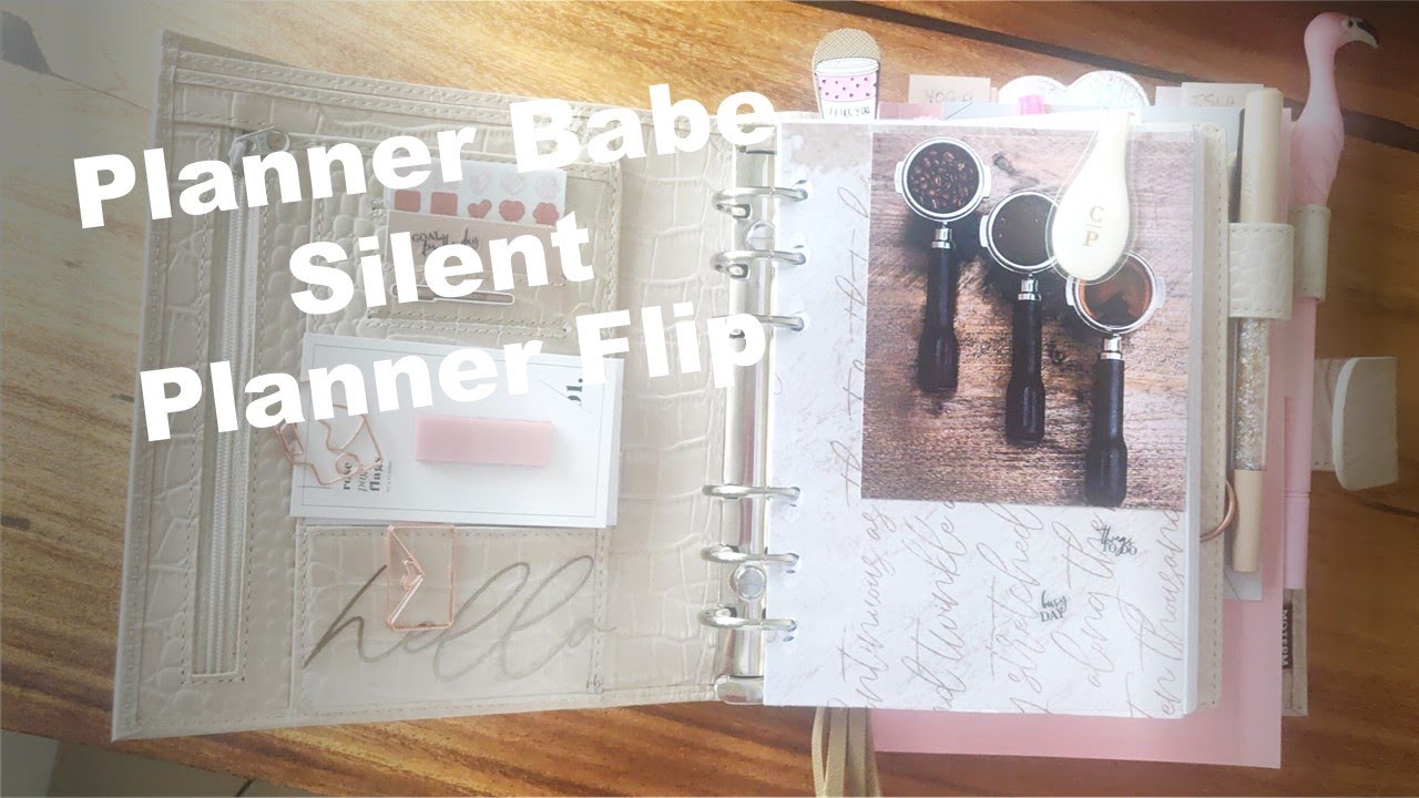 Moterm A5 Croc Planner - Planner Babe Silent Planner Flip 2022