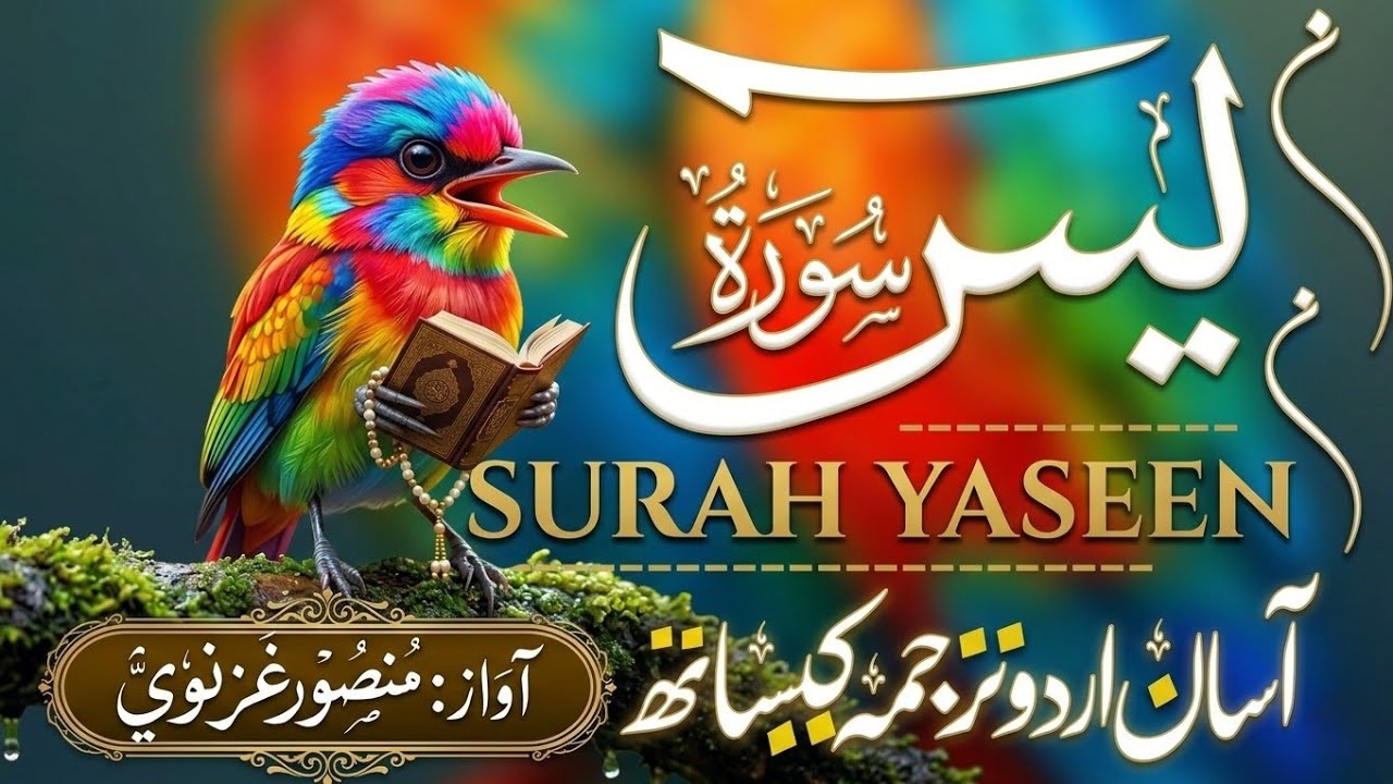 Surah Yasin ( yaseen ) With Urdu Translation |(سورة يس )🌿 Quran with Urdu and Hindi Tarjuma |Epi 003