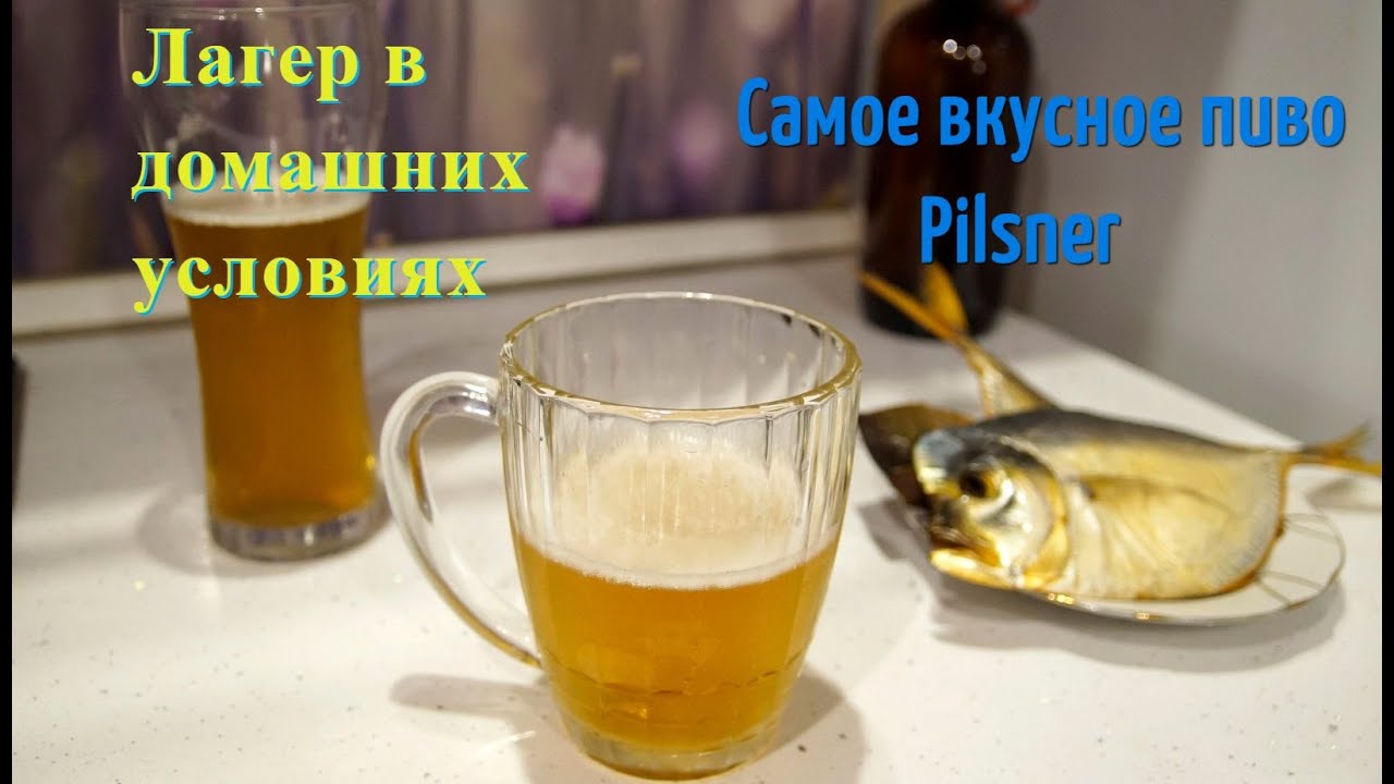 Варю лагерное пиво дома. Рецепт самого вкусного и необычного Пилснера