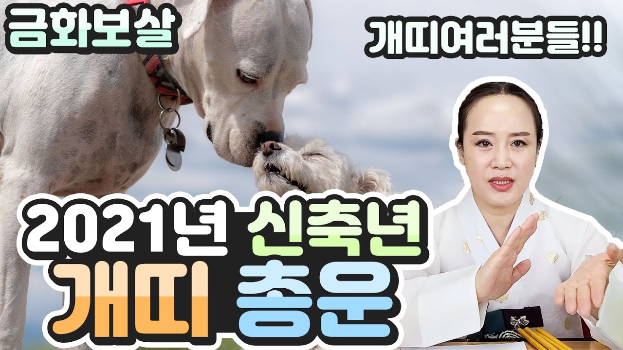2021년 신축년 개띠(강아지띠)총운 나이대별띠별운세🐕🐶무술생 병술생 갑술생 임술생 경술생[일산무당점집금화보살]