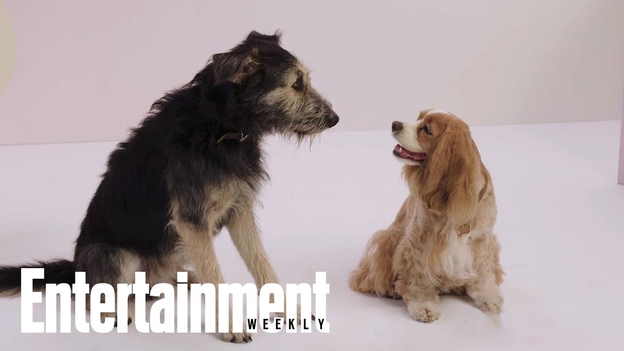 The Furry Stars Of 'Lady And The Tramp' Tell All | PeopleTV | Entertainment Weekly