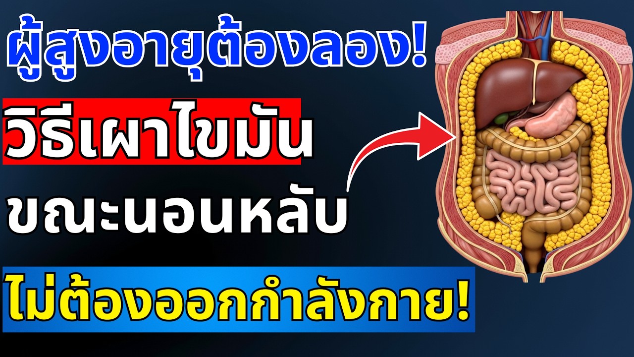 นักวิทยาศาสตร์พิสูจน์แล้ว! วิธีเผาไขมันพุงขณะหลับโดยไม่ต้องออกกำลังกาย | สุขภาพผู้สูงอายุ