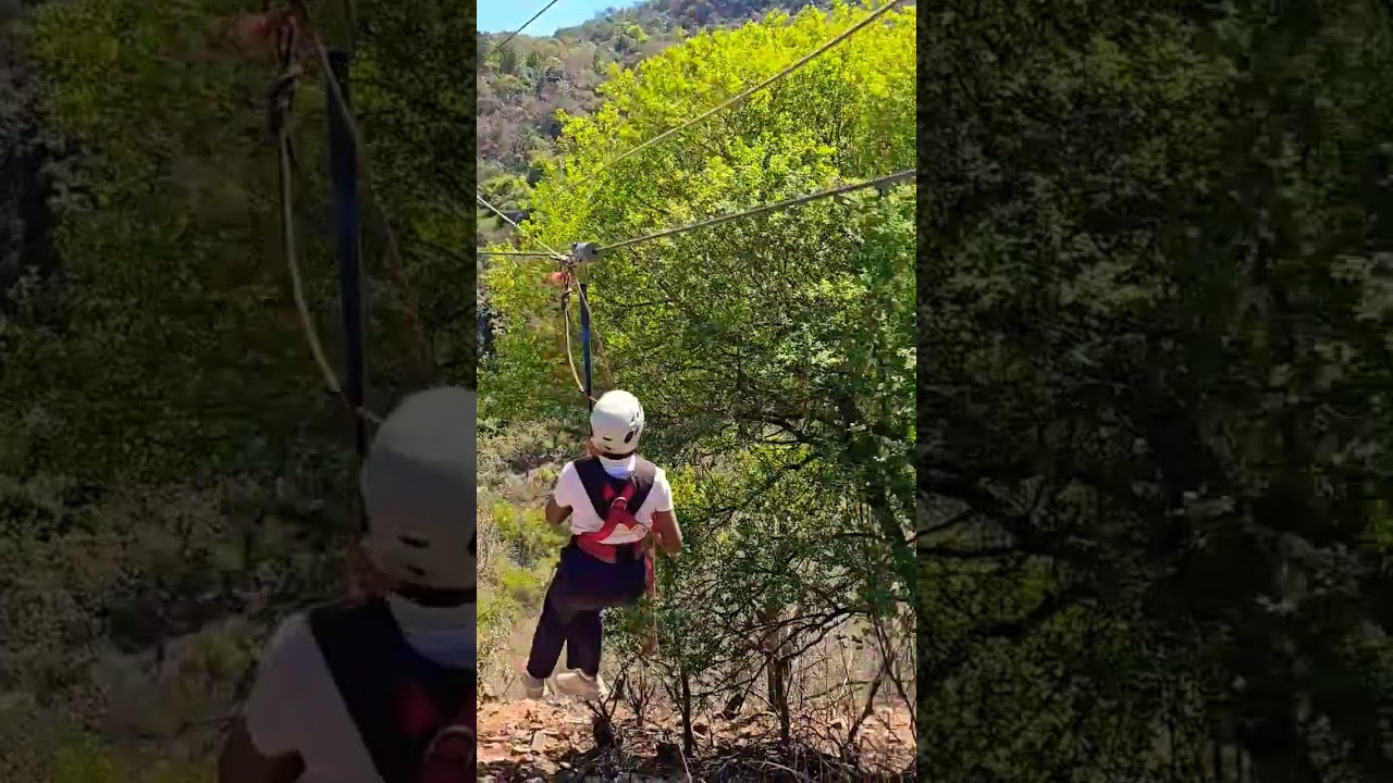 The Sudwala Zipline in Mpumalanga province #travel #mpumalanga #touristattraction