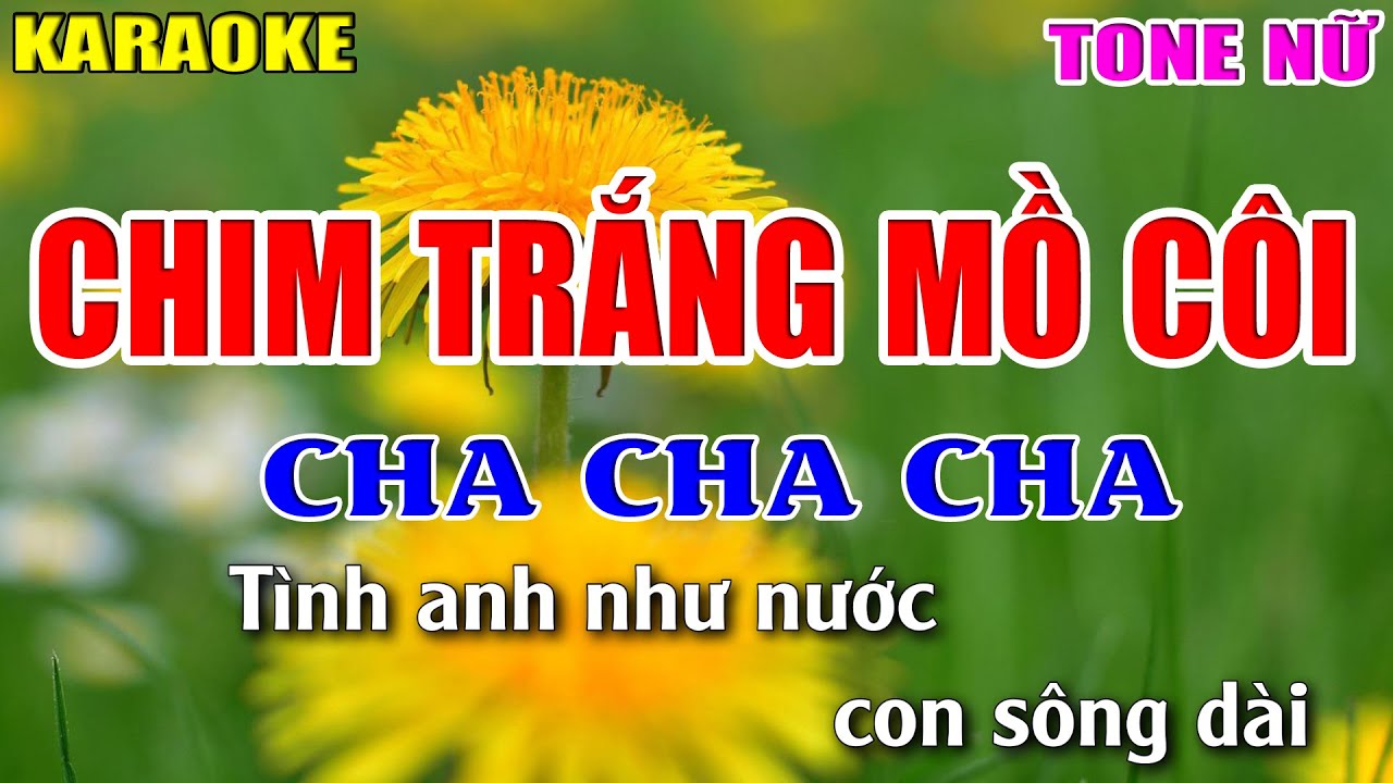 Chim Trắng Mồ Côi Karaoke Tone Nữ - Nhạc Sống Cha Cha Cha 2022 - Lâm Organ