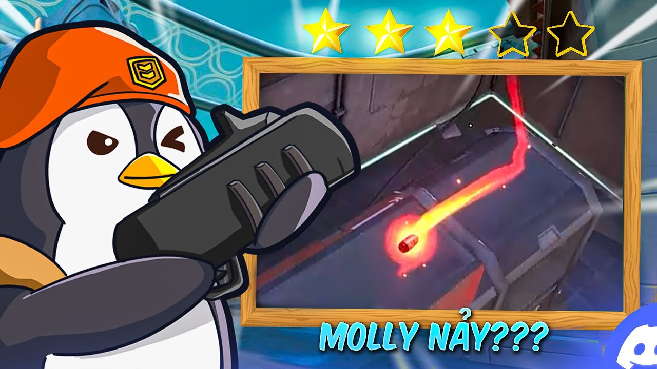 TÔI ĐÁNH GIÁ MOLLY LINEUP CỦA BẠN 🔥#6