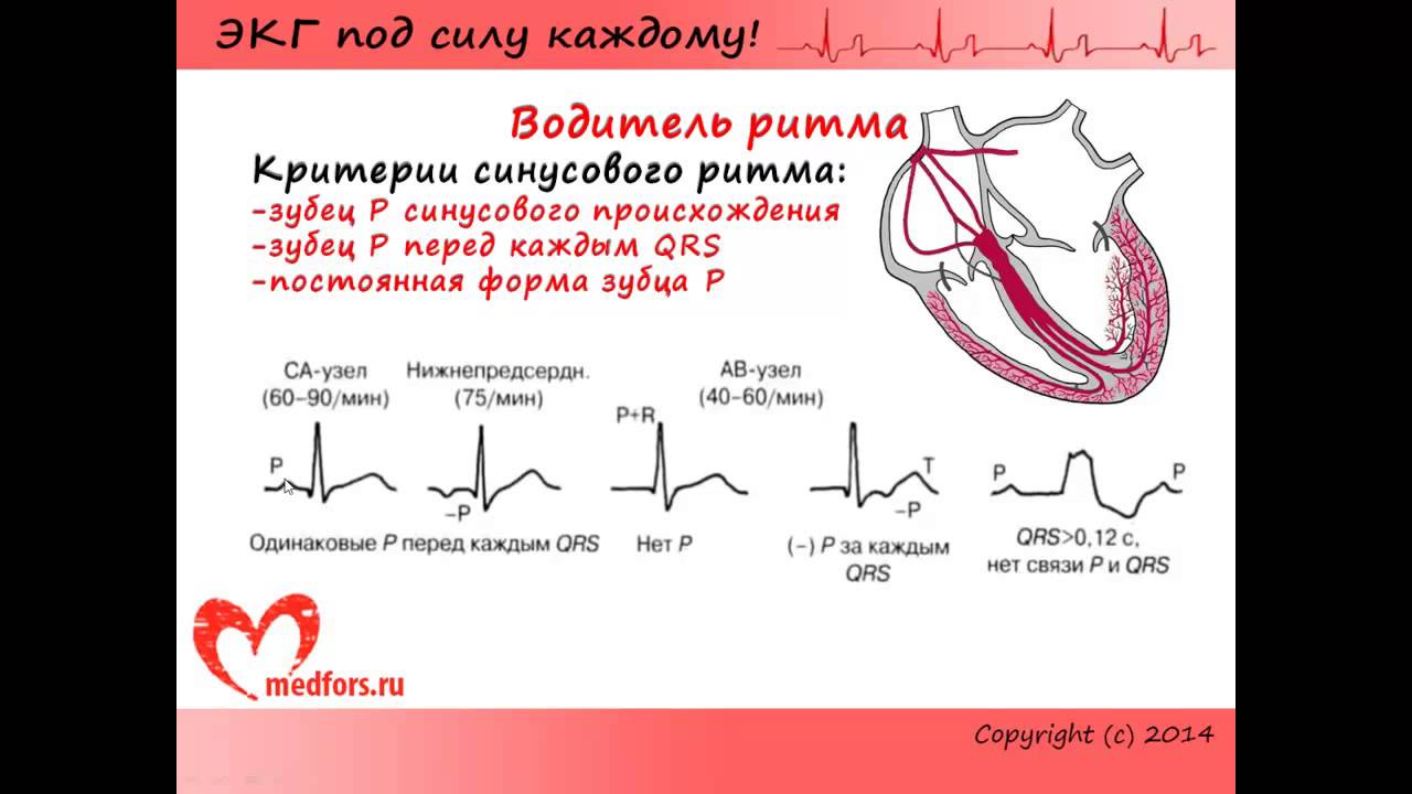 Урок 3. Видеокурс 