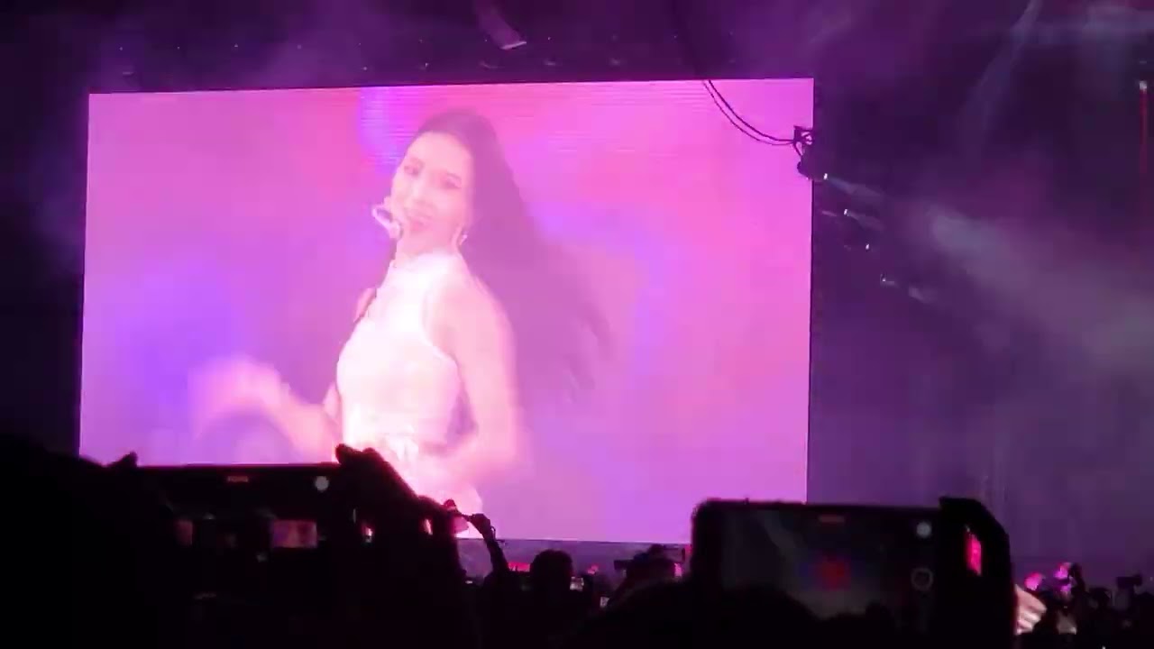 BLACKPINK in LA 221120 - How You Like That / Pretty Savage