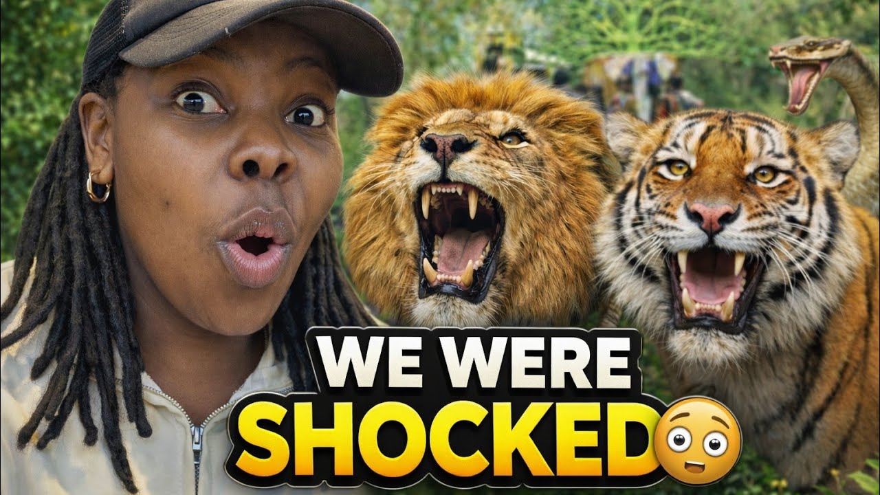 We Were NOT Ready for This at Punjab Zoo 🇮🇳!